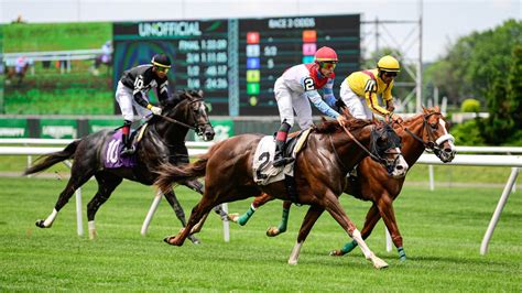 prince of wales stakes odds